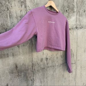 Alphalete cropped long sleeve